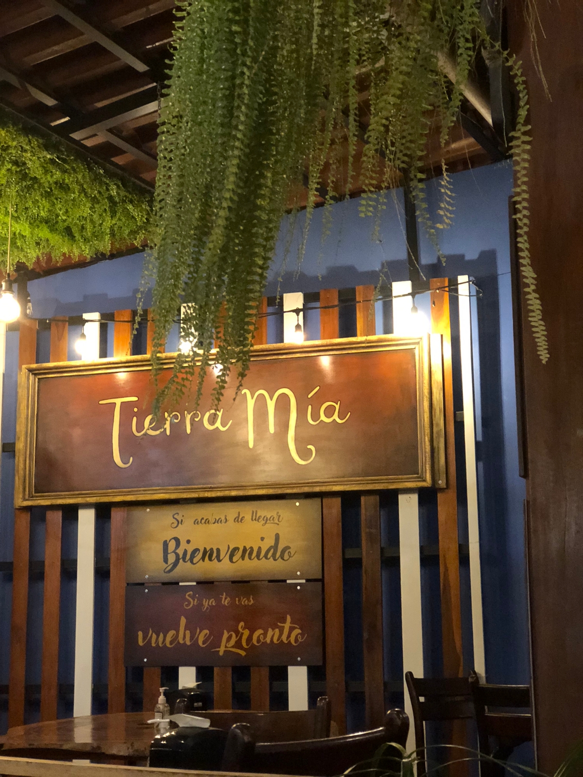 Tierra Mia Restaurante - featured photo