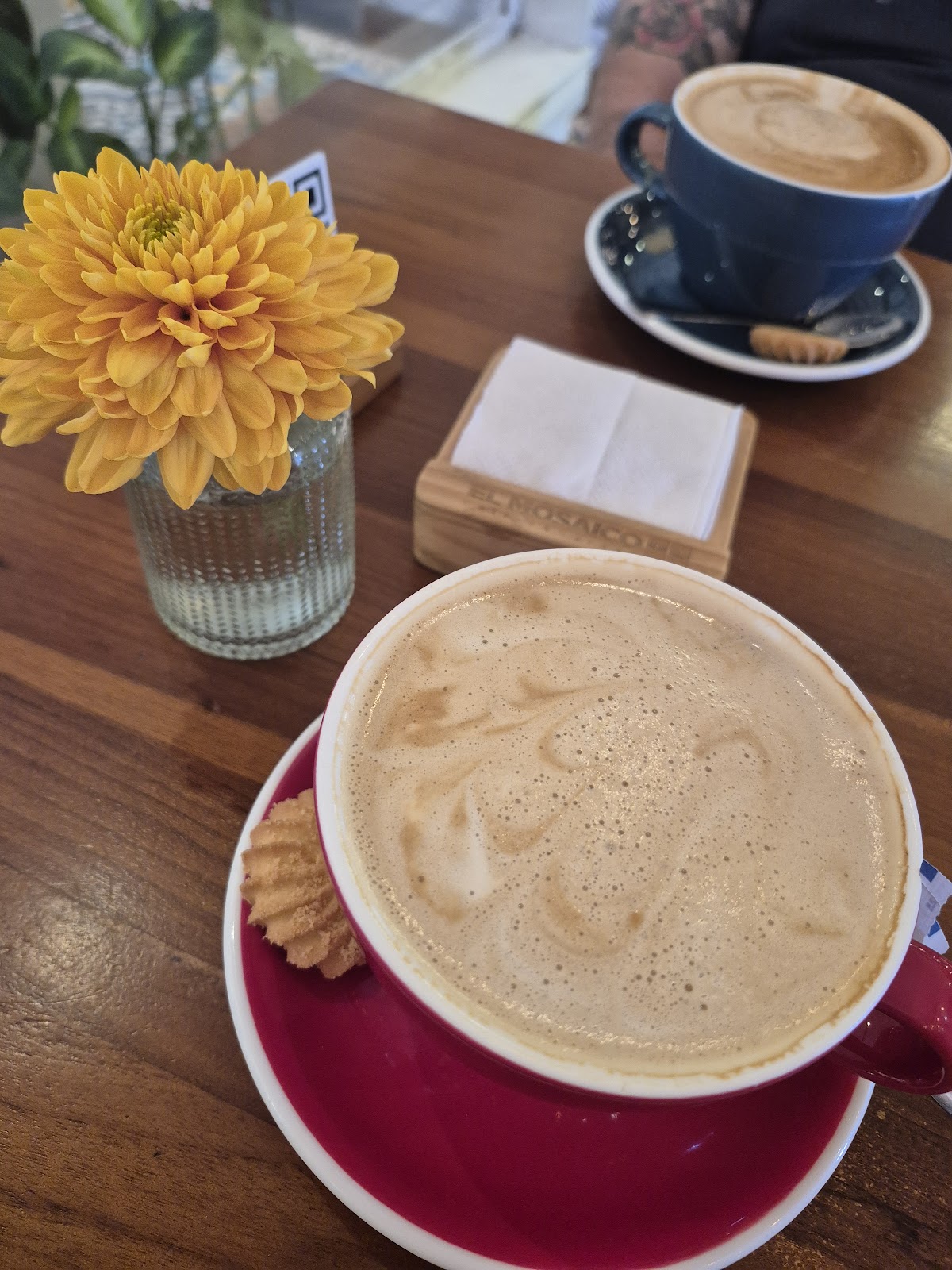 El Mosaico Coffee & Garden - photo 3