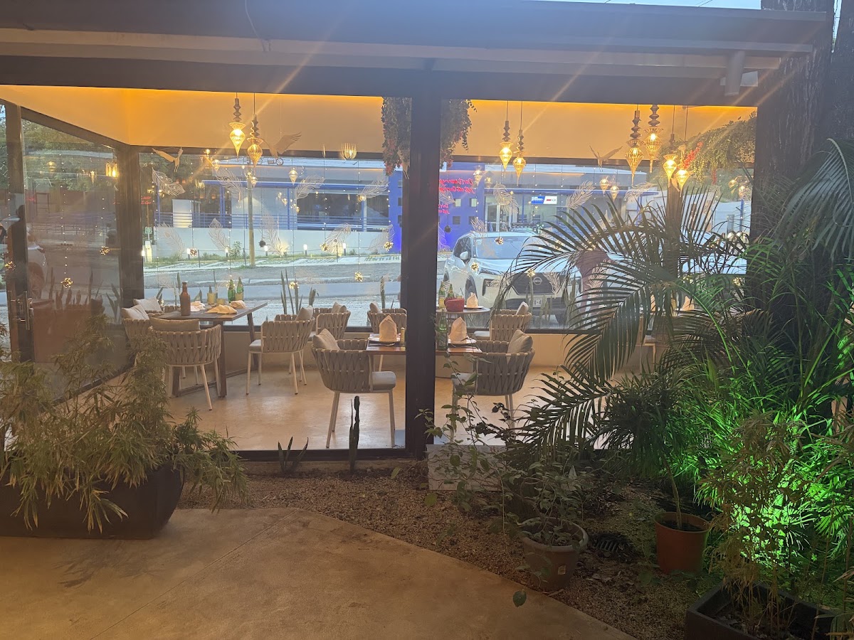 Naans & Curries • An Ethnic Indian Restaurant, Tamarindo - photo 2
