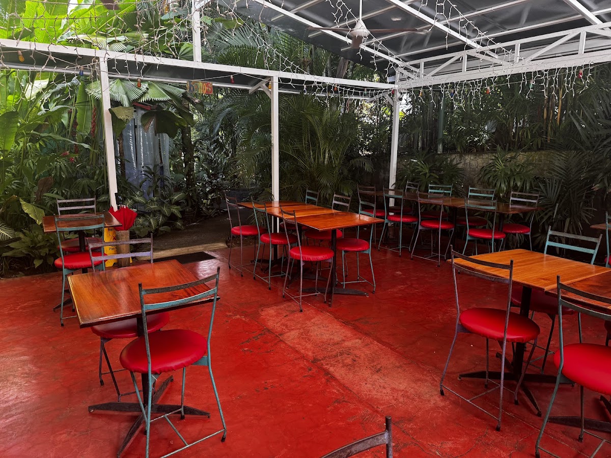 El Patio de Café Milagro - photo 4