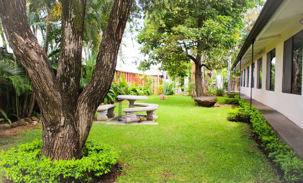 Hotel Mango - featured photo