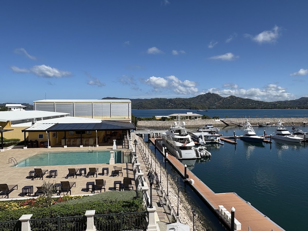 Marina Flamingo - photo 2
