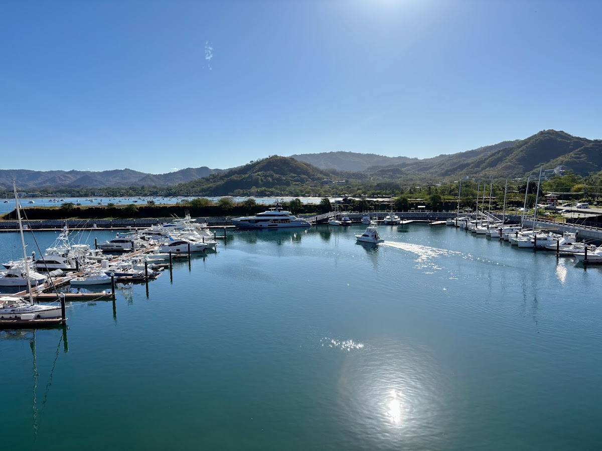 Marina Flamingo - photo 3
