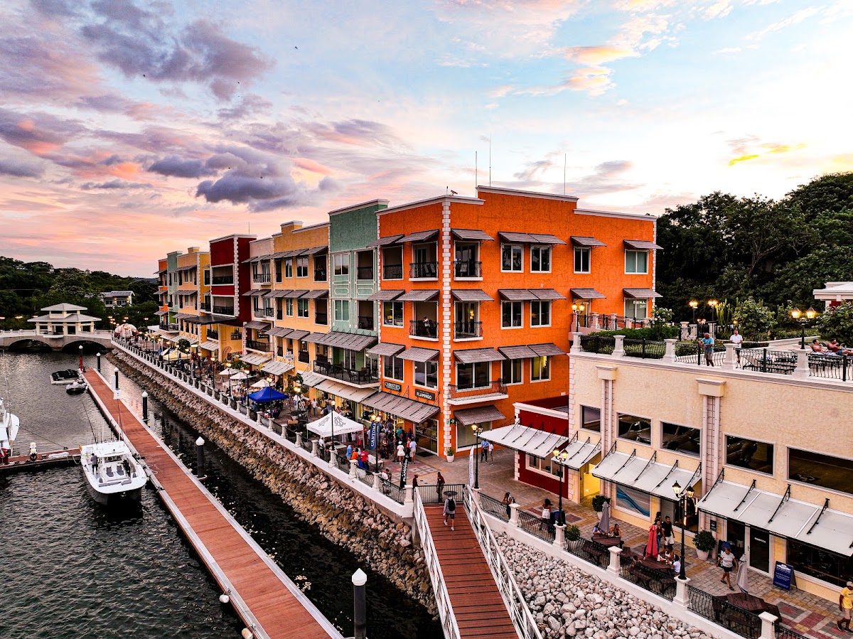 Marina Flamingo - photo 5