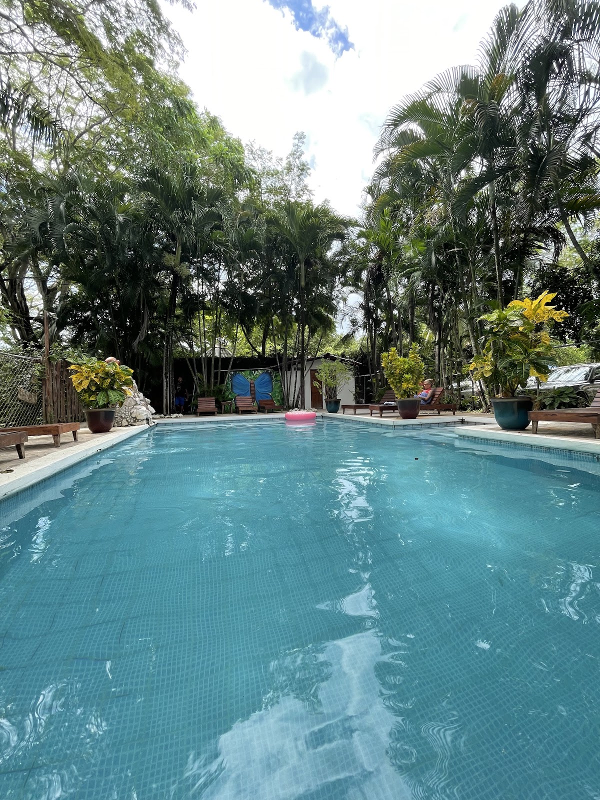 Pension Playa Samara - photo 3