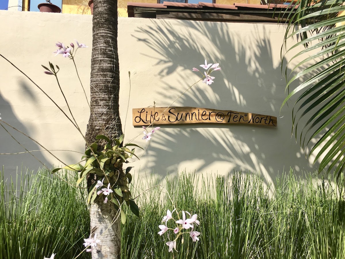 Ten North Tamarindo Beach Hotel - featured photo