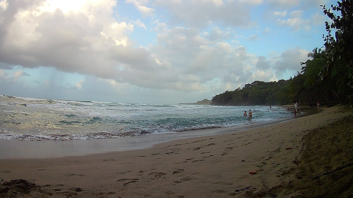 Cahuita National Park Hotel And Restaurant - photo 4