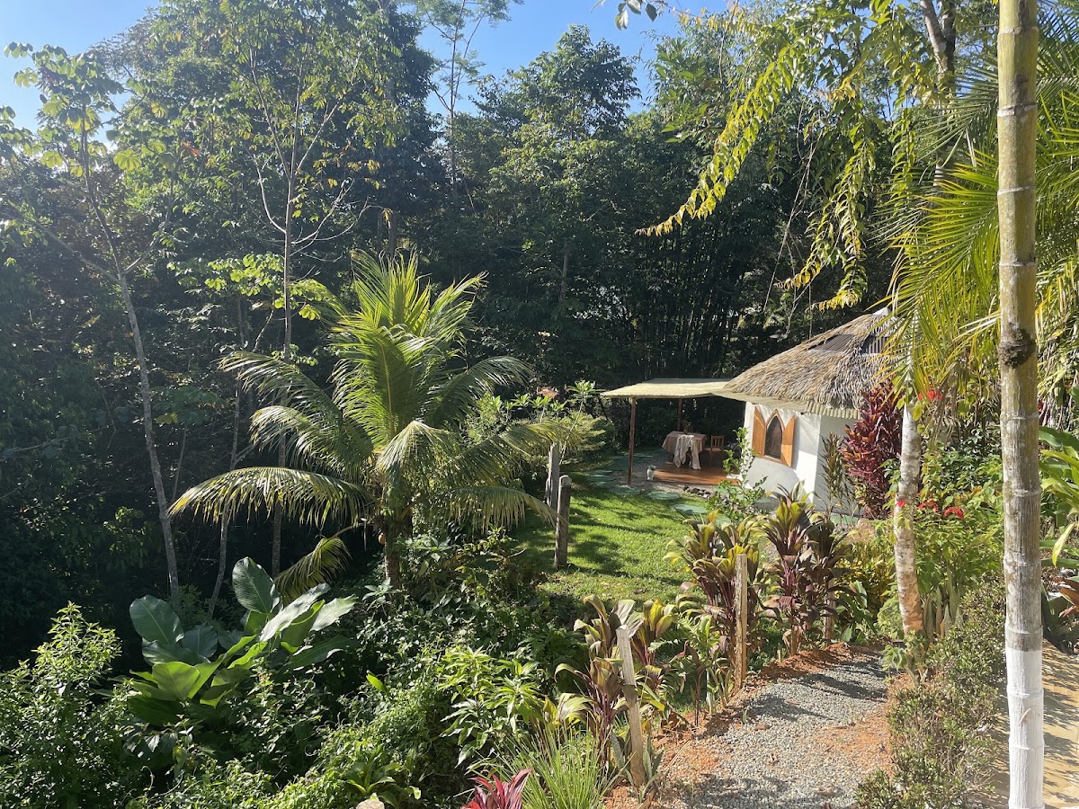 Paradise Lodge - photo 5