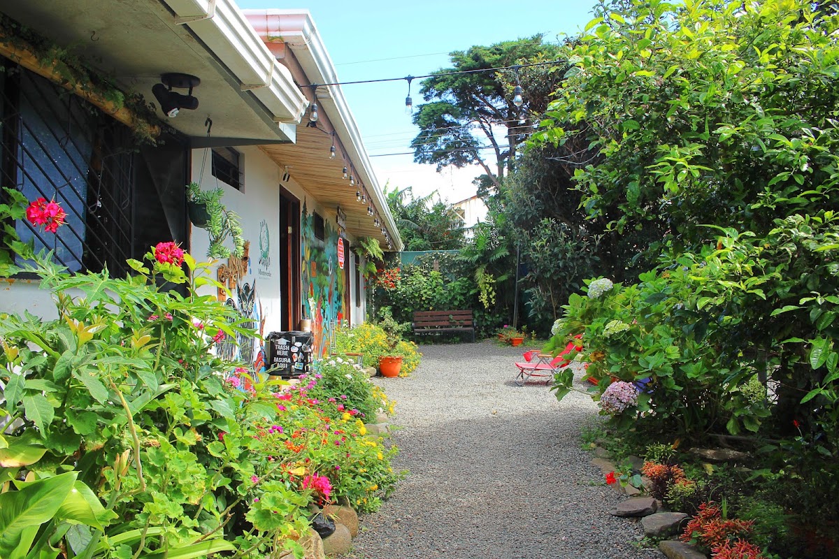 Casa Jungle Monteverde Bed & Breakfast - featured photo