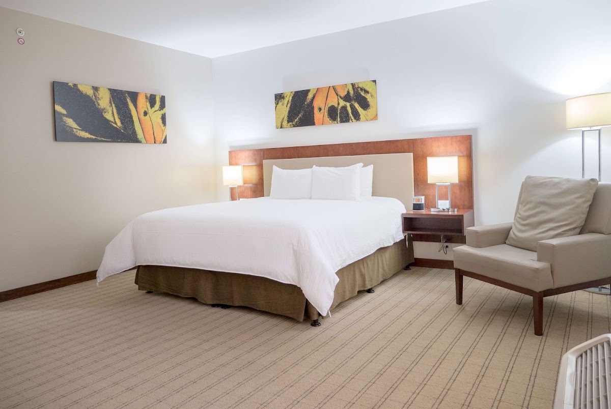 Wyndham Garden San Jose Escazu - photo 5