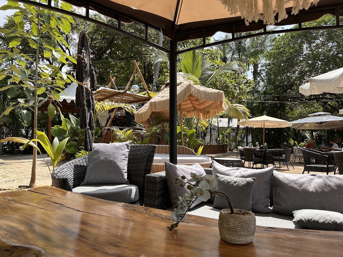 Ocho Beach Club - photo 4