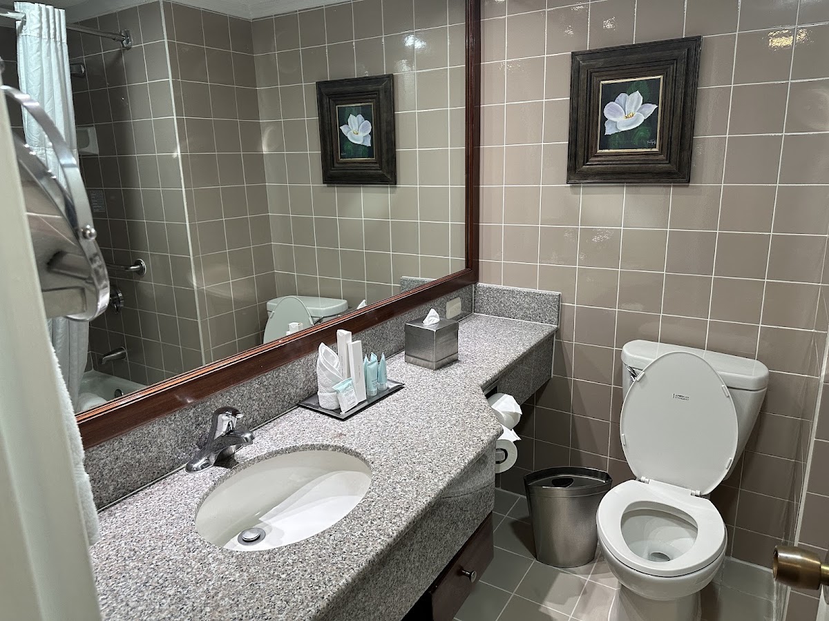 Delta Hotels by Marriott San Jose Aurola - photo 4