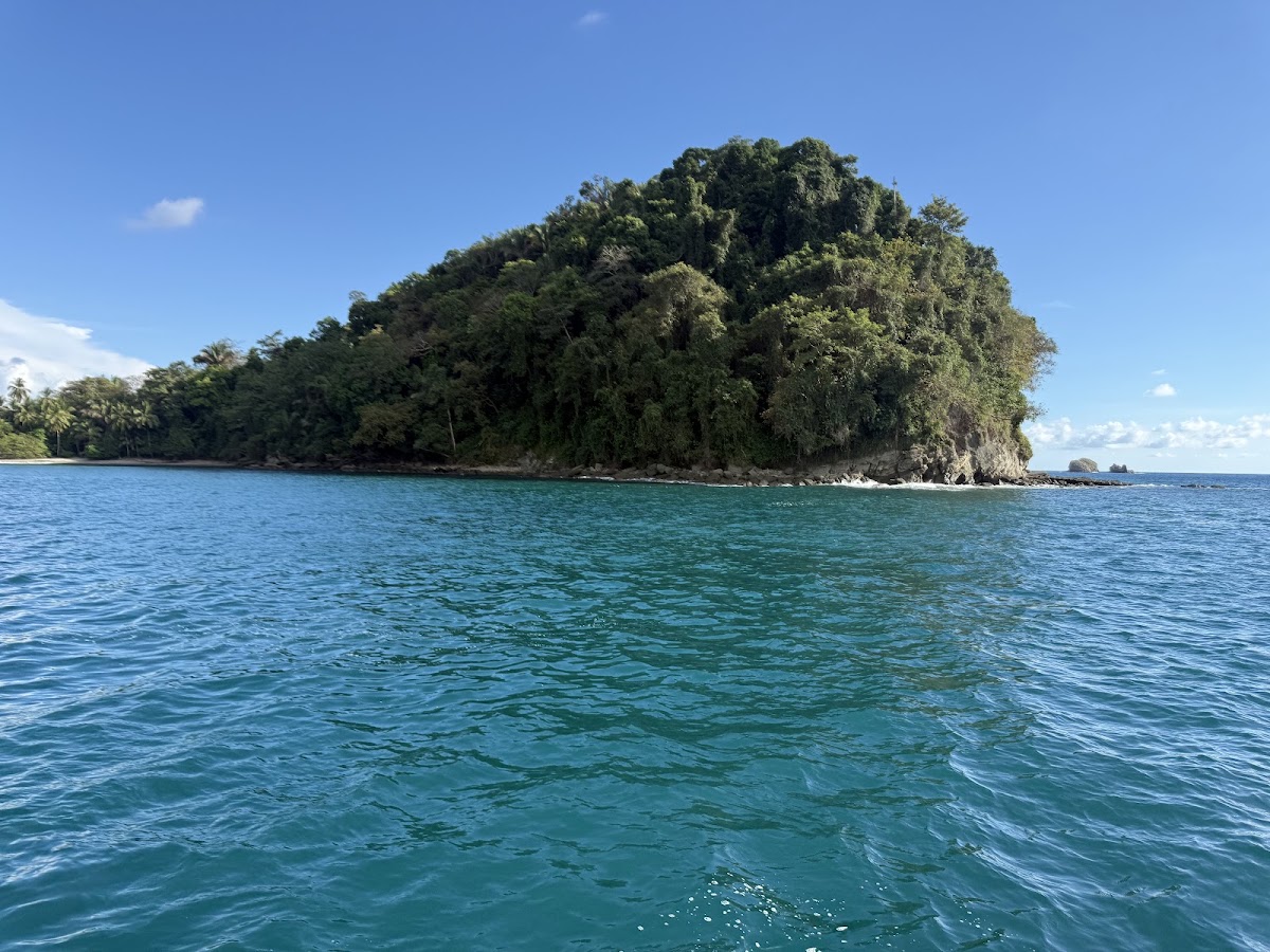 Ocean King Catamaran Adventures Manuel Antonio - photo 3
