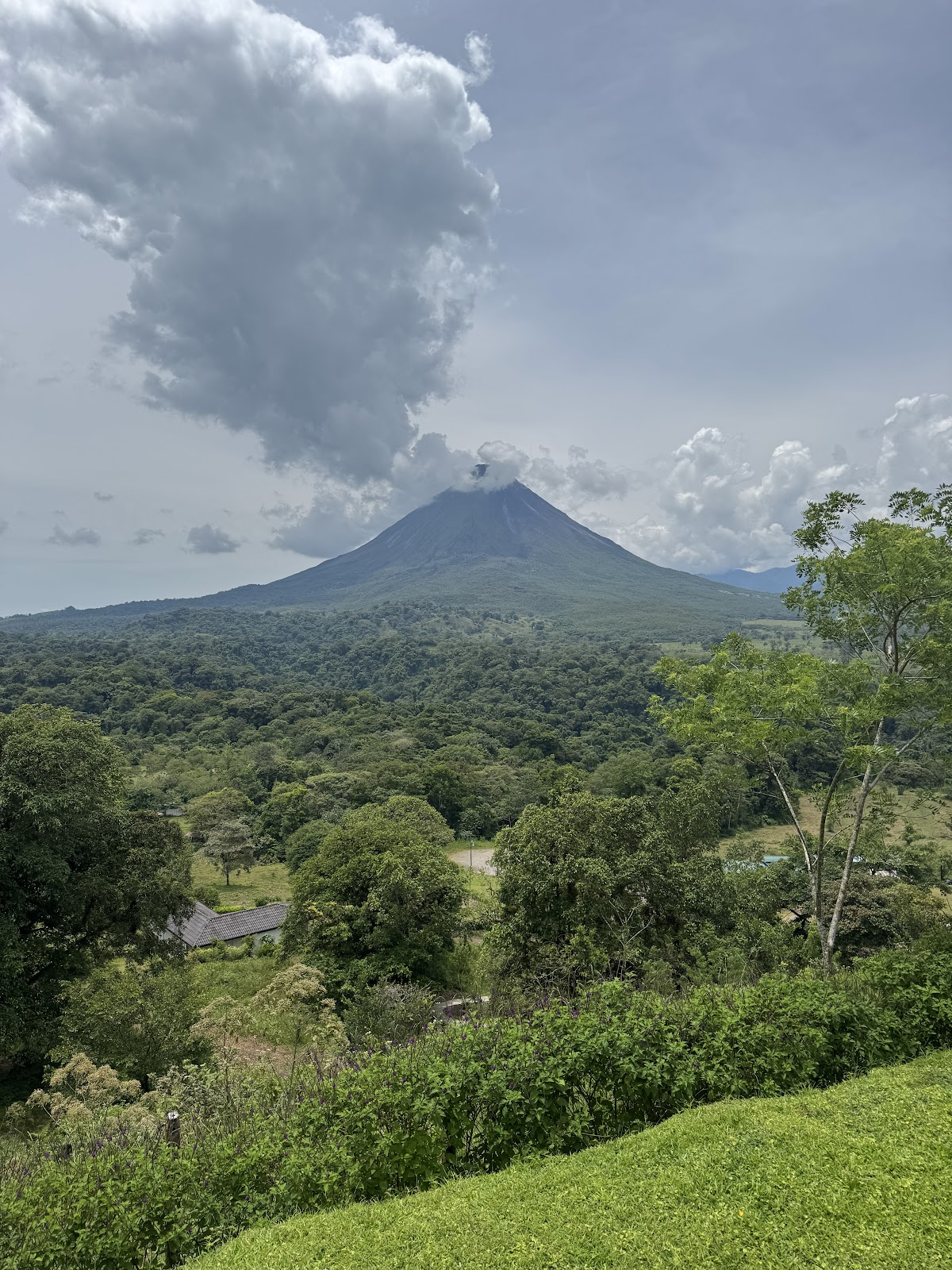ALL TOURS COSTA RICA | NATIONAL TOUR OPERATOR - photo 3