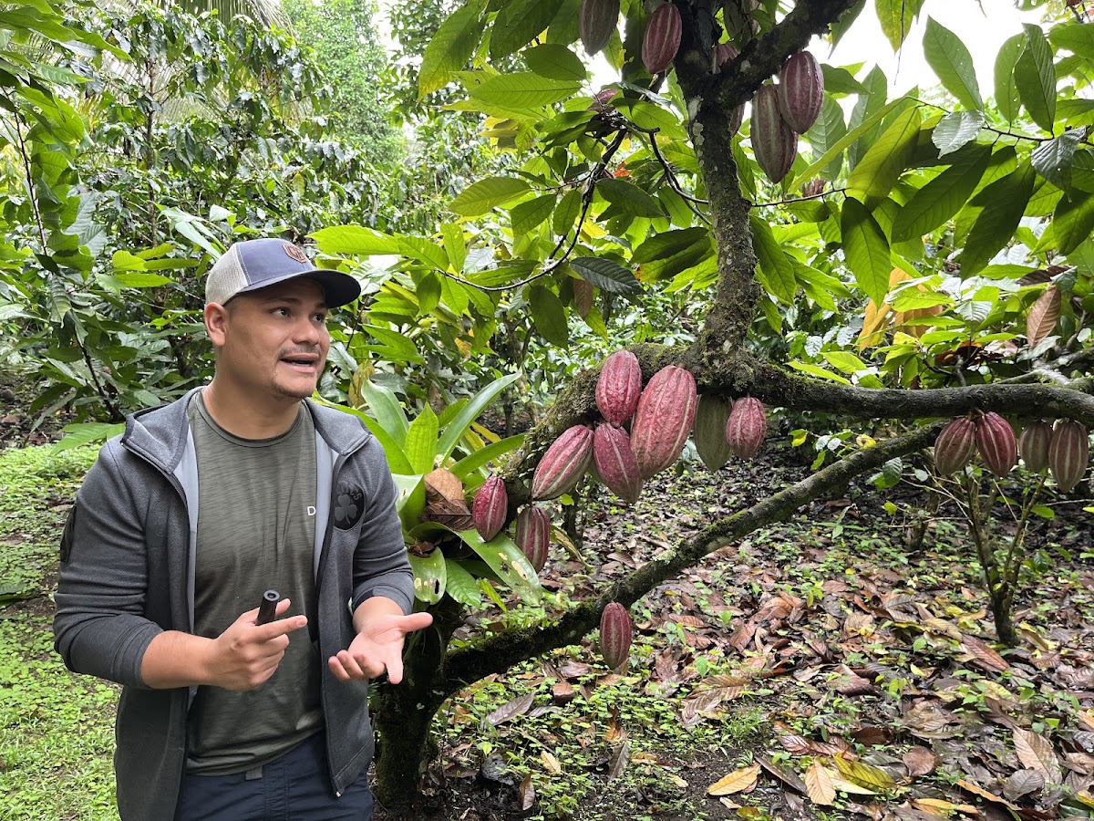 Don Juan Tours La Fortuna - photo 2