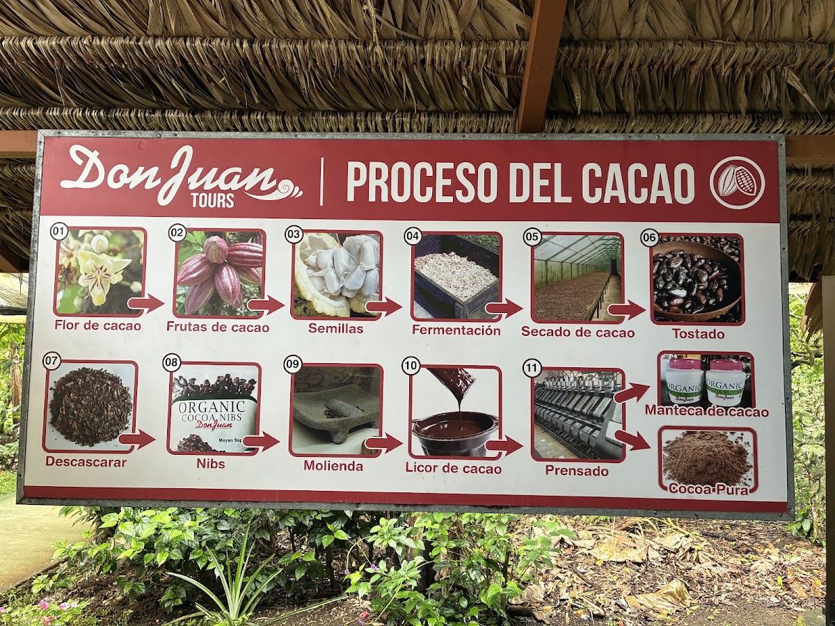 Don Juan Tours La Fortuna - photo 5