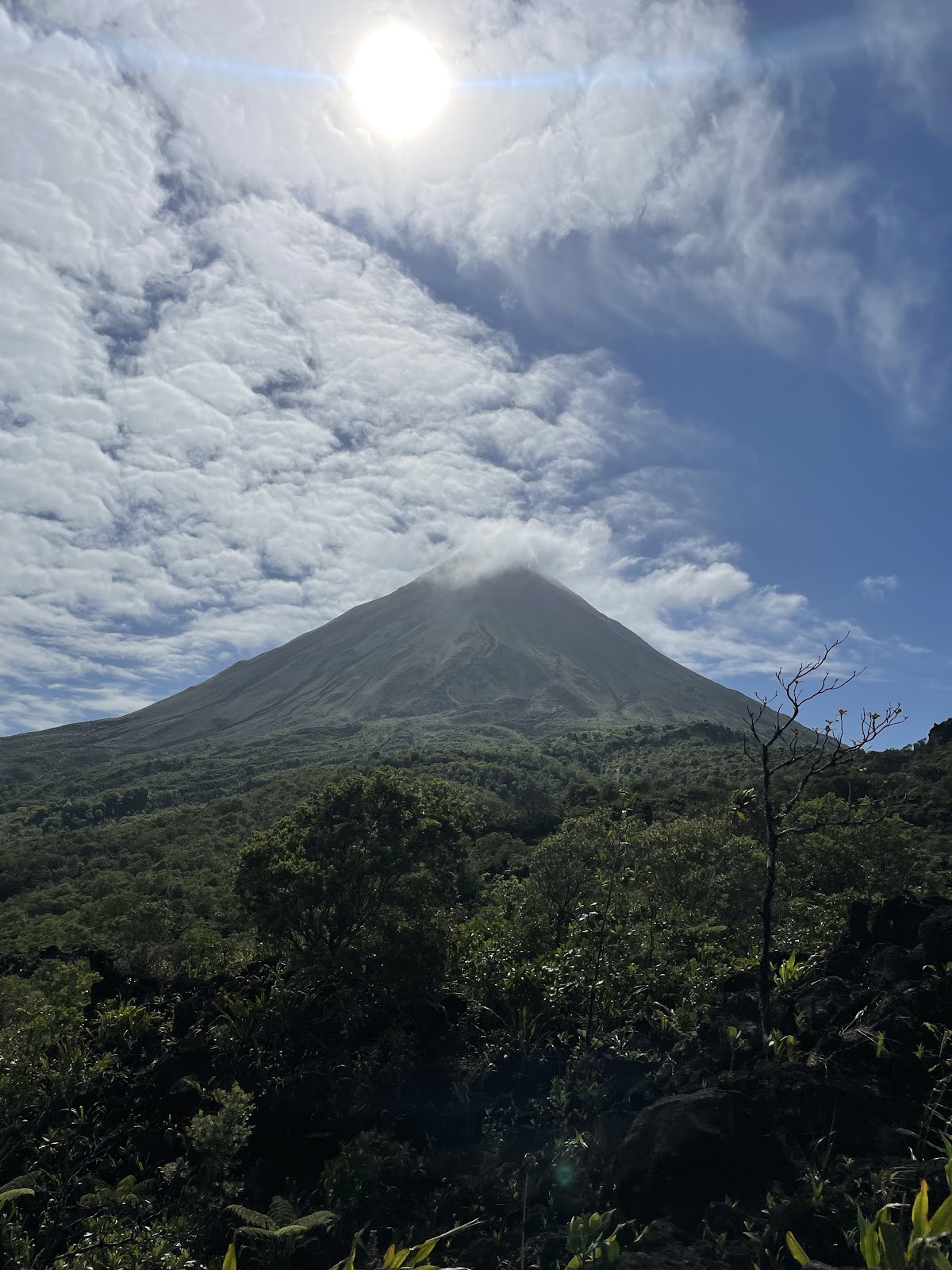 Costa Rica Tours adventure and Nature - photo 2