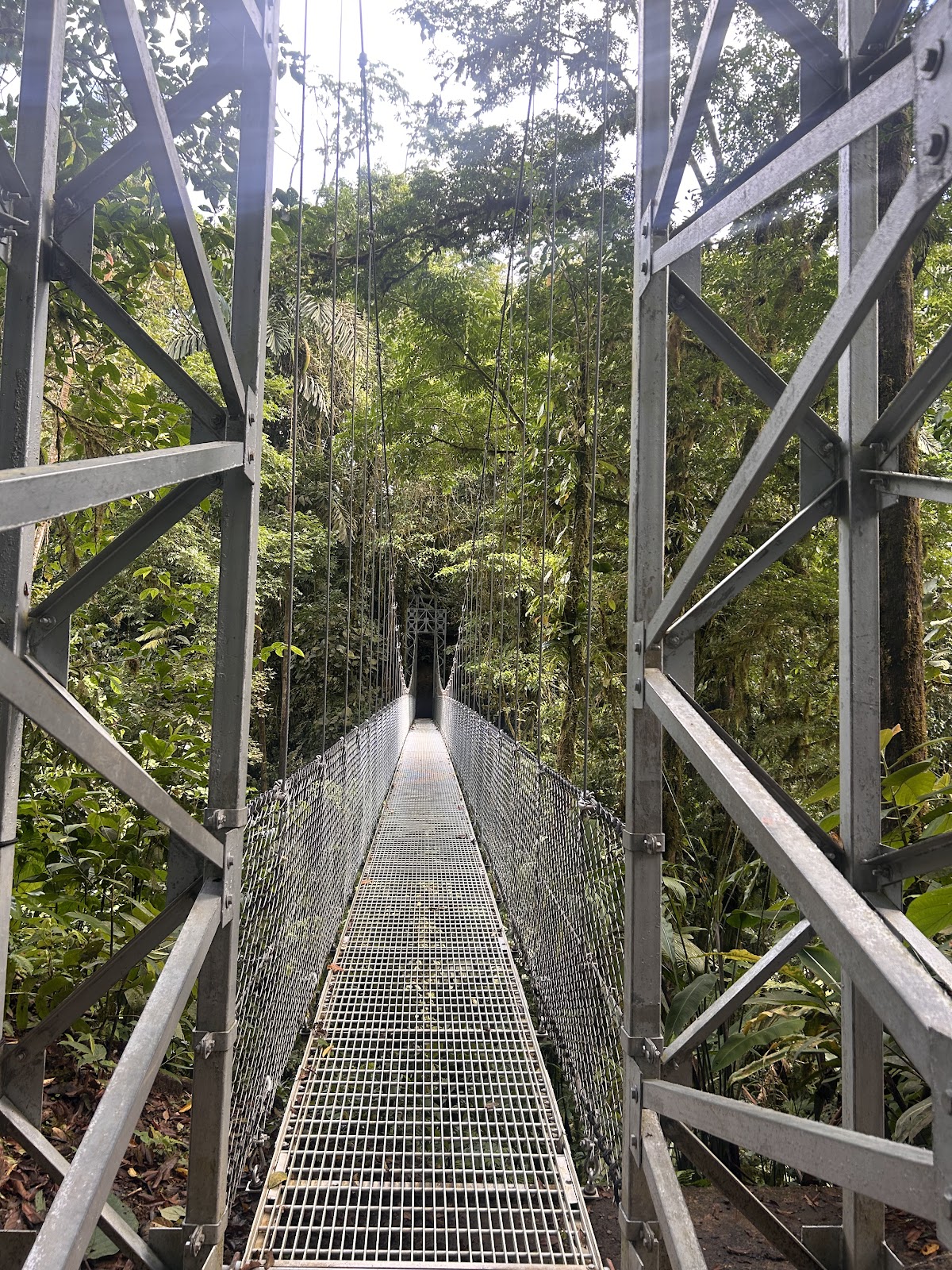 Costa Rica Tours adventure and Nature - photo 4