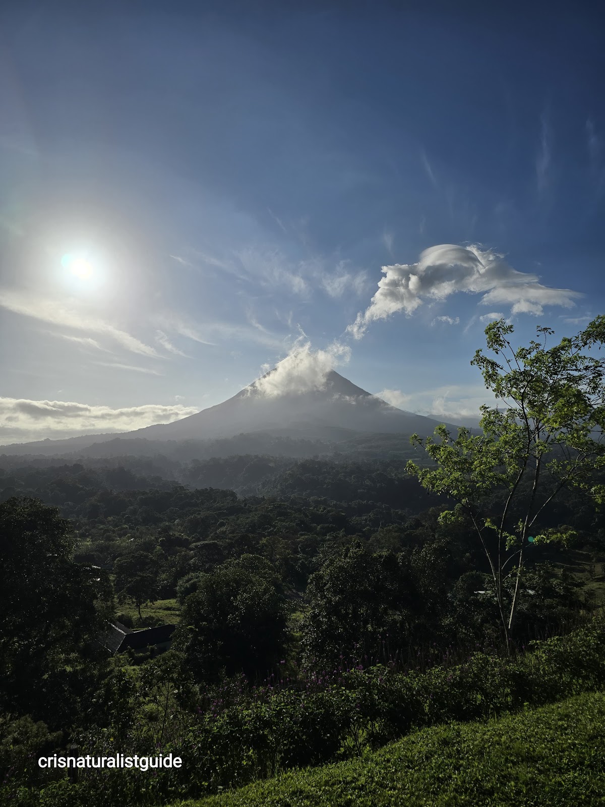 Wildlife Tours Costa Rica - photo 2