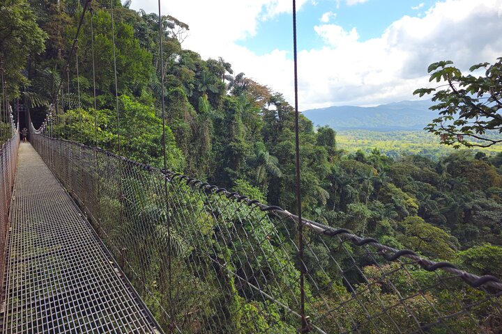 Wildlife Tours Costa Rica - photo 5