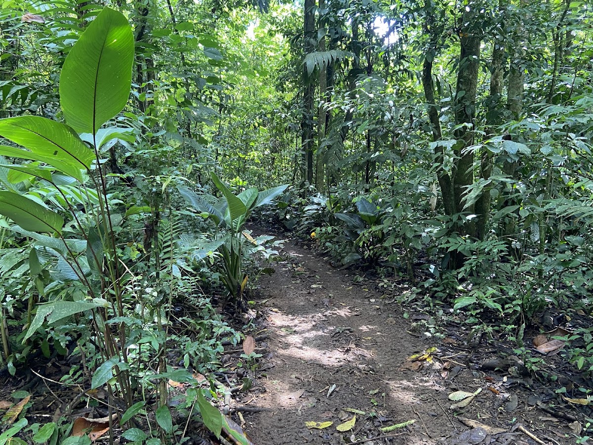 Arenal Adventure ATV - photo 3