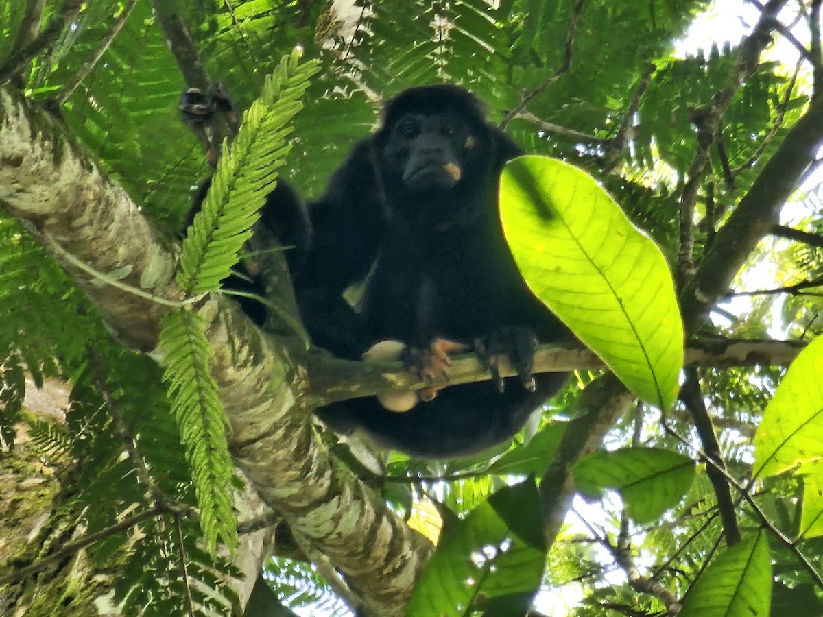 Arenal Adventure ATV - photo 4