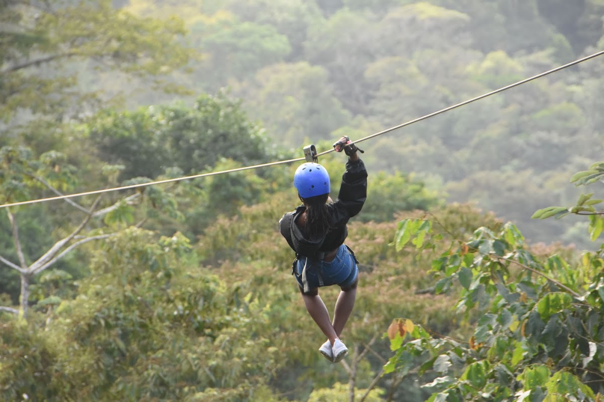 Go Adventure Arenal Park - featured photo
