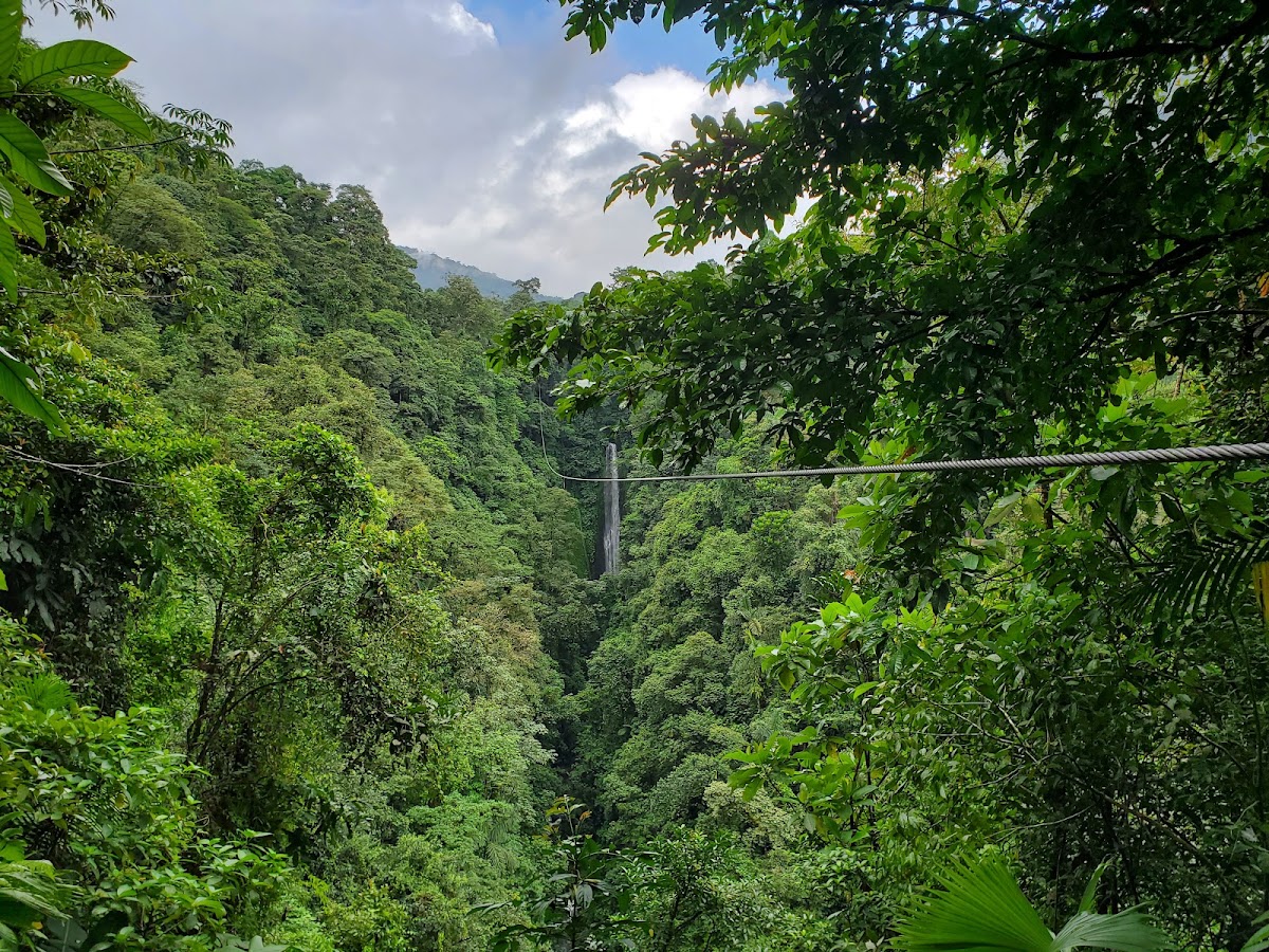 Parque Arenal Mundo Aventura - photo 2