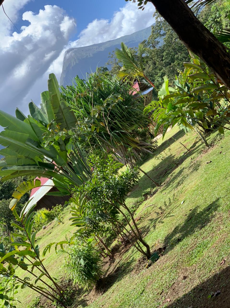 Vista Arenal Adventure Park - photo 5