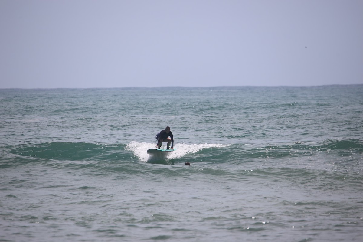 Surf the Jungle Surf School / Surf Camp - photo 2