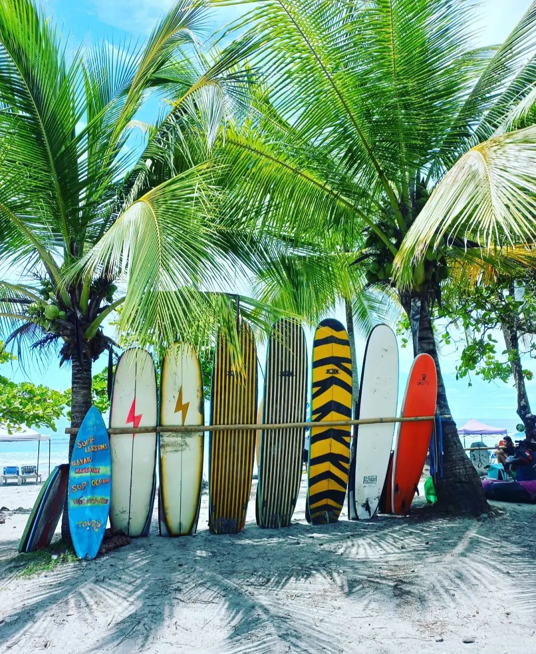 Alejandro Surf School - featured photo