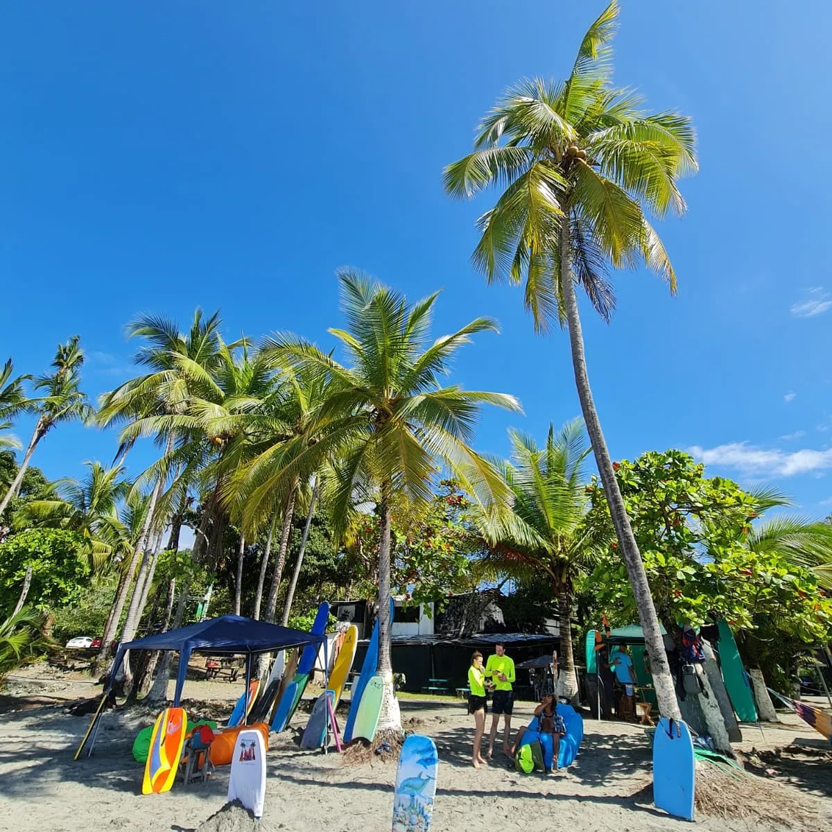 Alejandro Surf School - photo 3