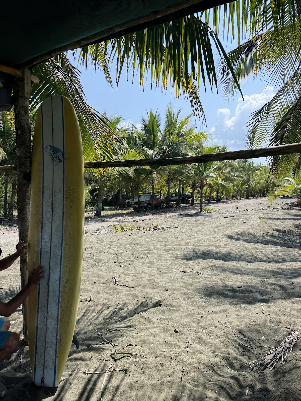 Manuel Antonio Surf School - photo 3