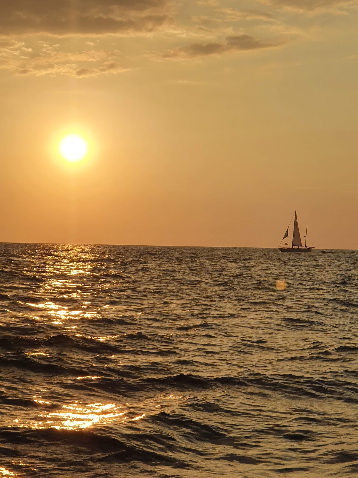 Catamaran Ocean Tours - photo 3