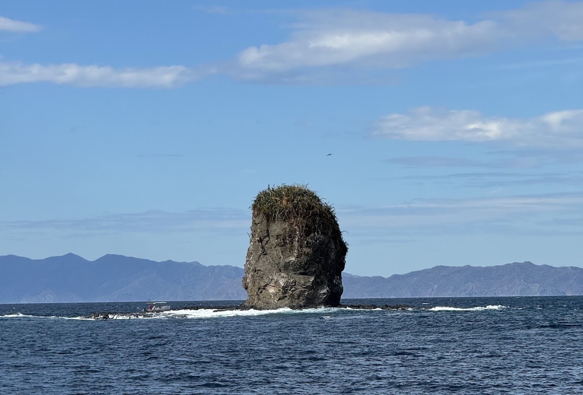 Catamaran Ocean Tours - photo 4