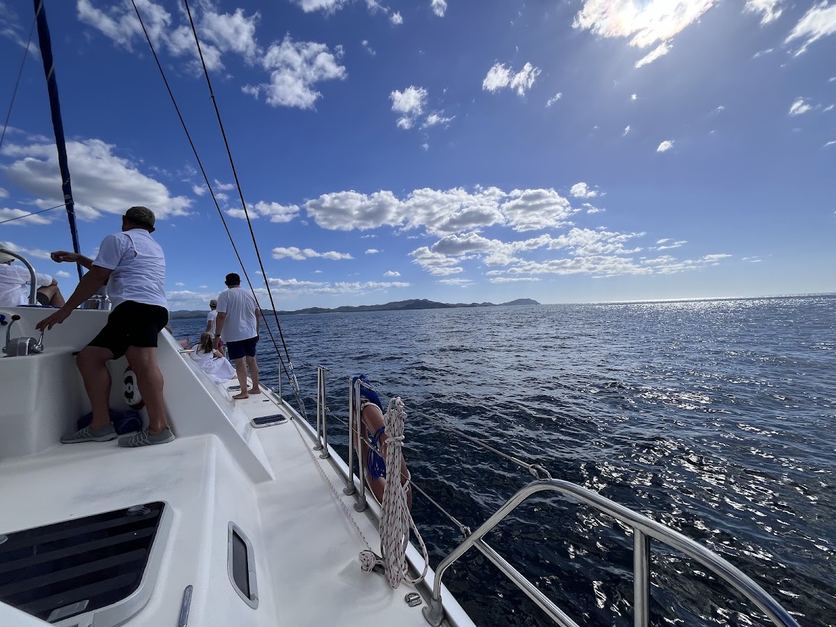 Lazy Lizard Sailing - photo 5