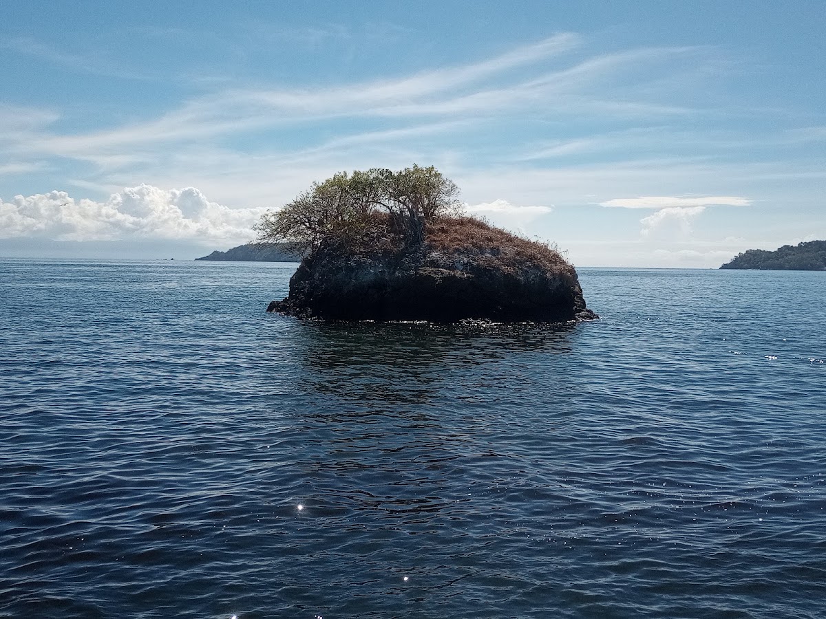 Tortuga Island Tour - photo 5