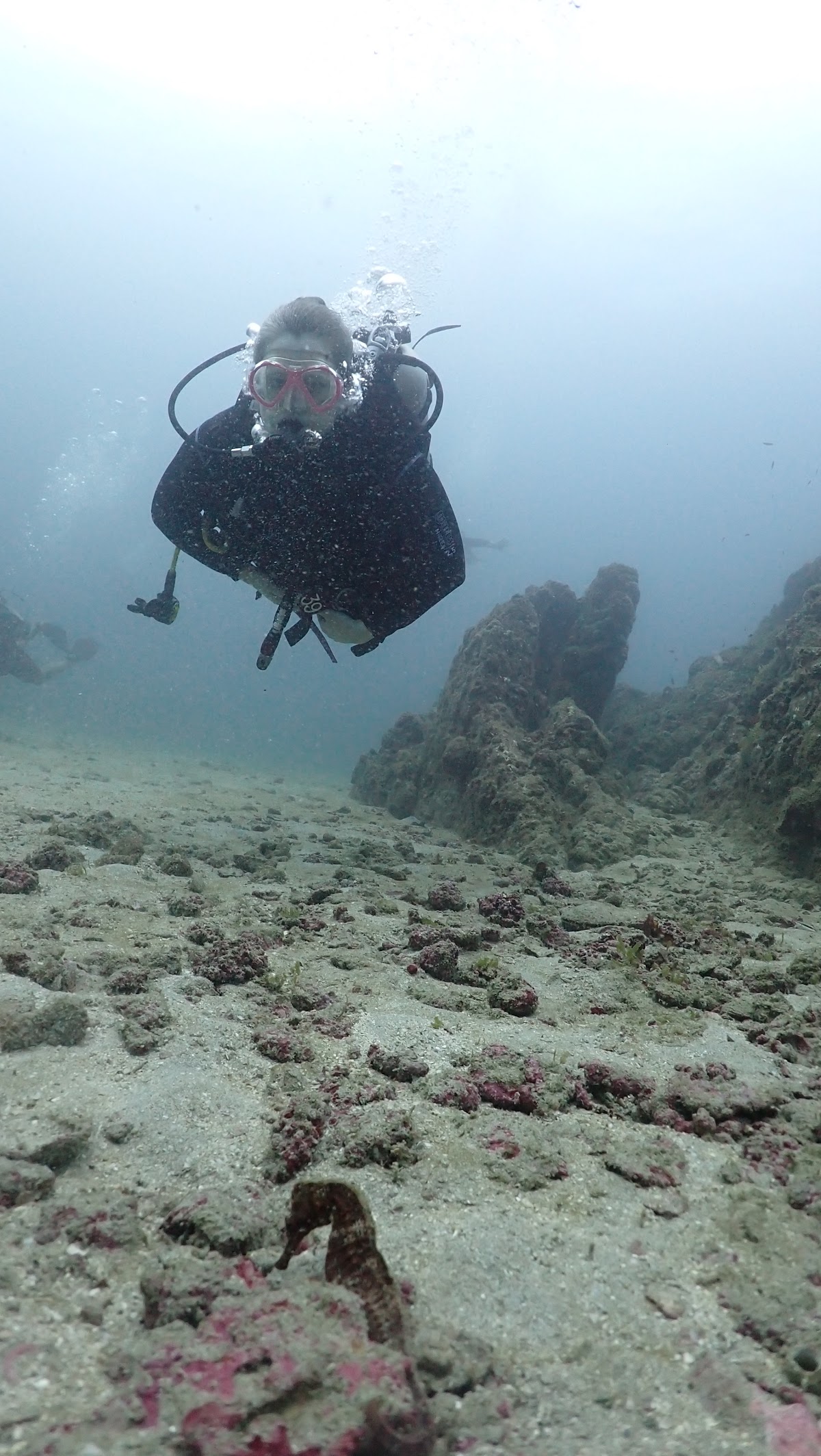 COSTA RICA DIVE AND SURF | PADI 5 STAR | Scuba and Snorkeling - photo 7