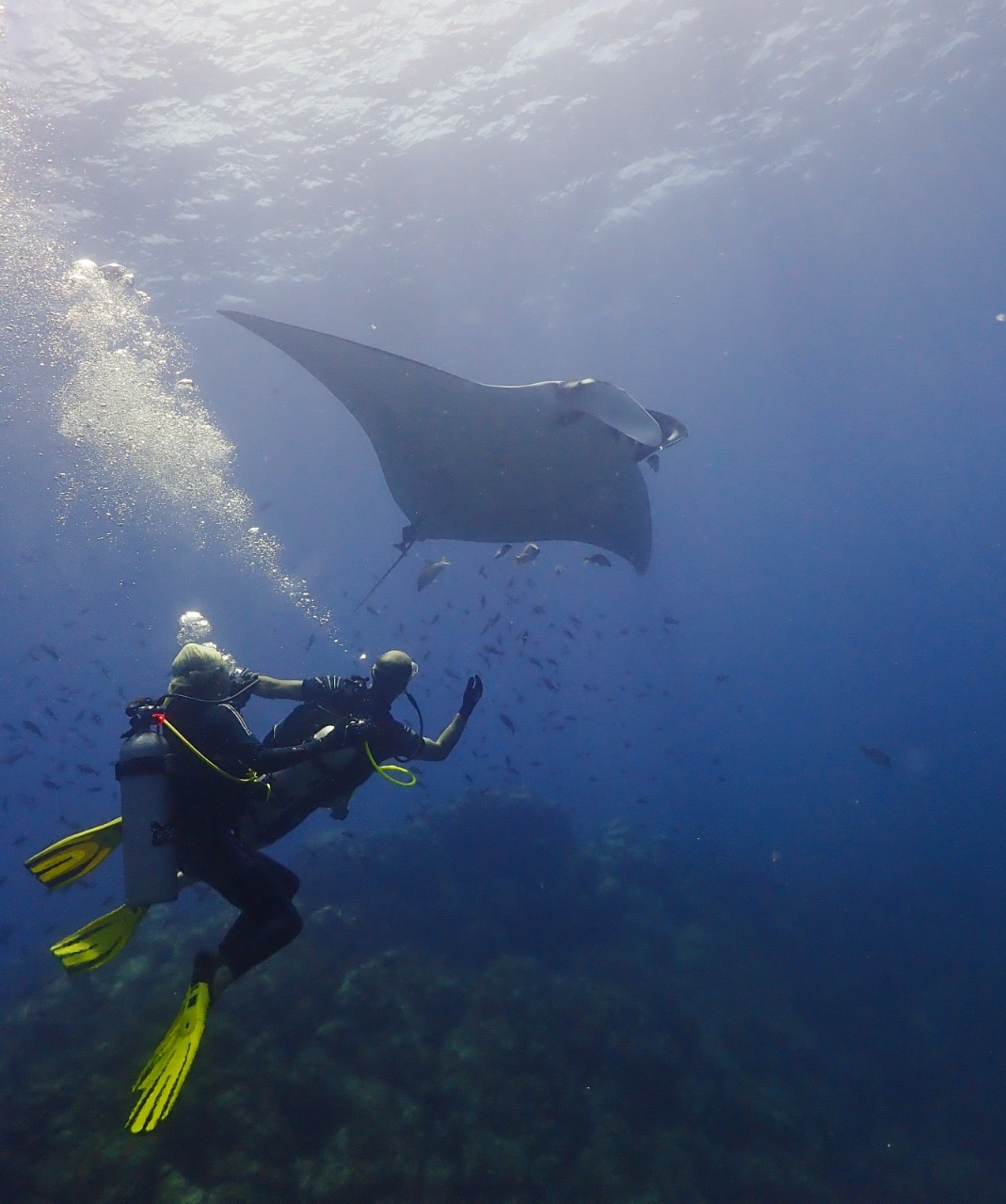 Costa Rica Adventure Divers - photo 3