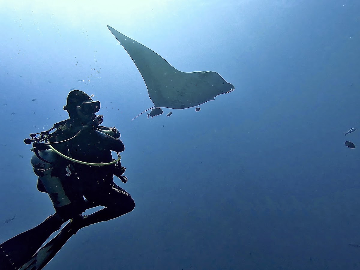 Blacktip Divers Costa Rica - photo 4