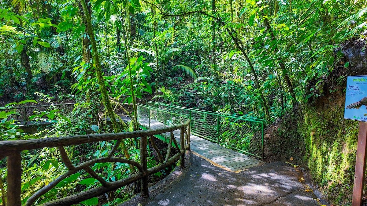 Puentes Colgantes Arenal, Mistico Park - photo 2