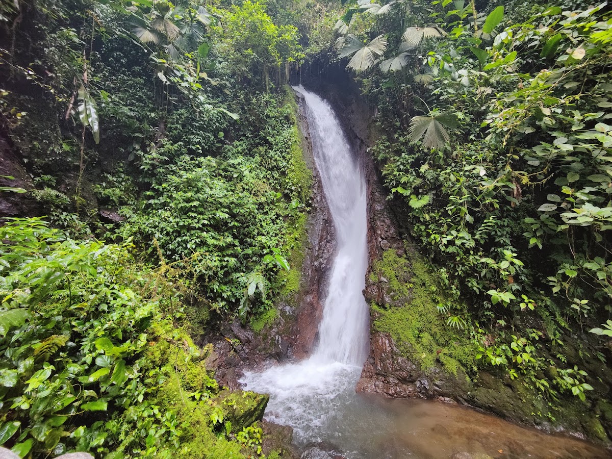 Puentes Colgantes Arenal, Mistico Park - photo 4