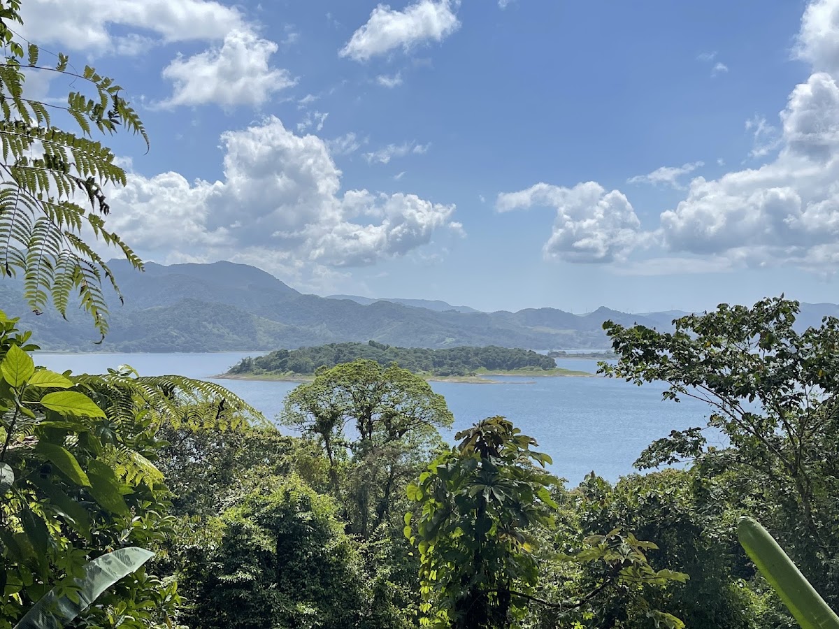 Parque Nacional Volcán Arenal - photo 5