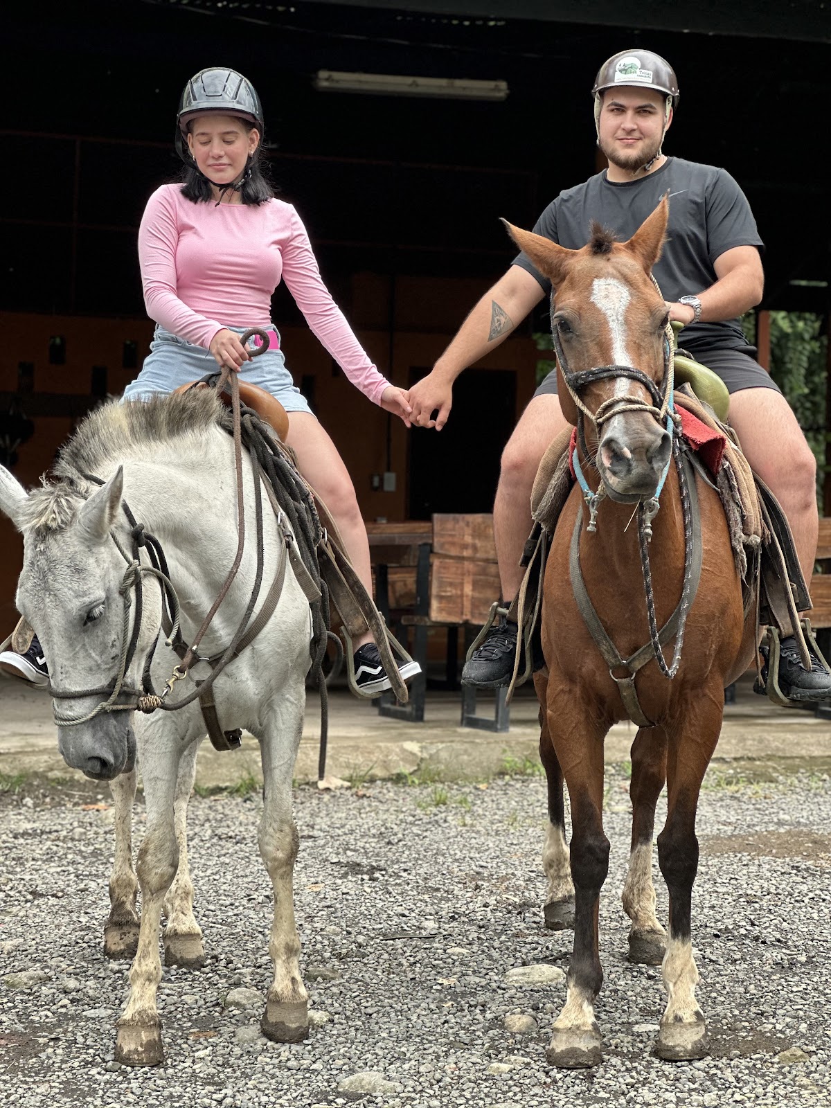 Horseback Riding In Arenal By Don Tobias Horses - photo 2