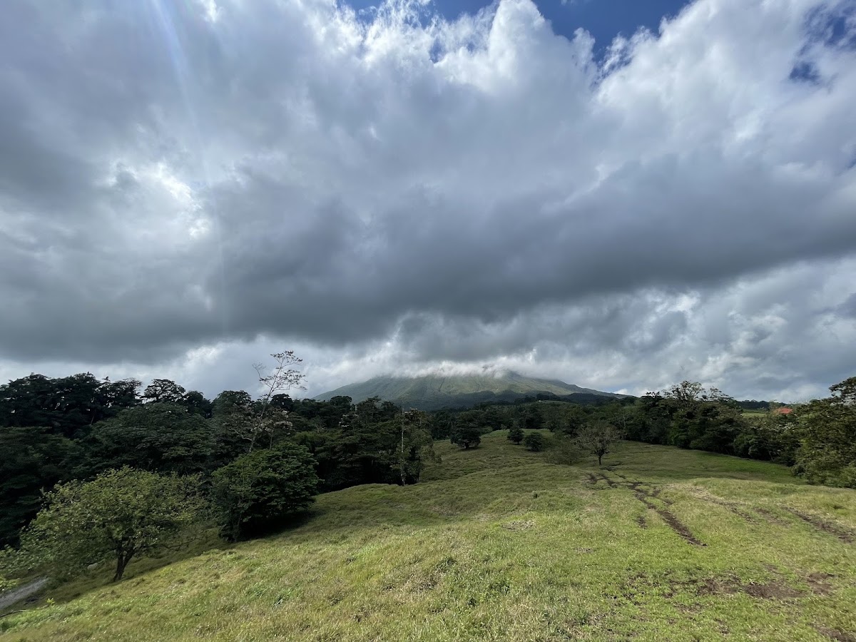 Horseback Riding In Arenal By Don Tobias Horses - photo 4