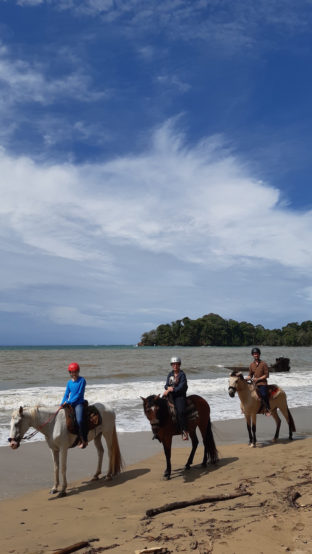 Ride The Rainforest - photo 2