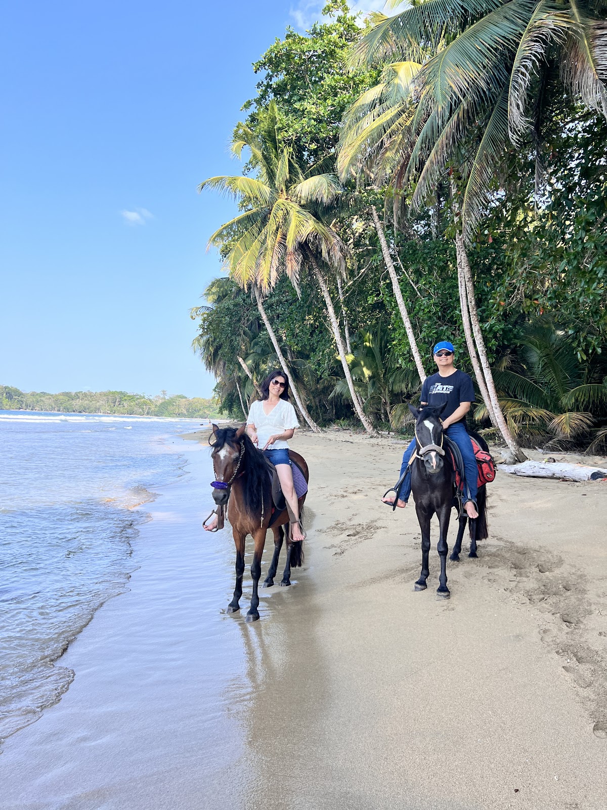 Ride The Rainforest - photo 3