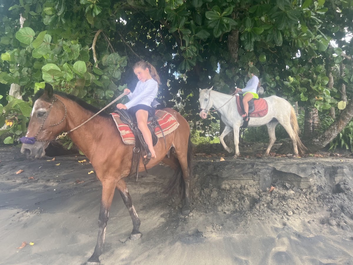 Ride The Rainforest - photo 4