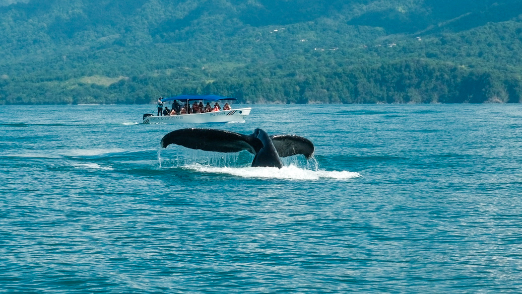 Bahia Aventuras - photo 3
