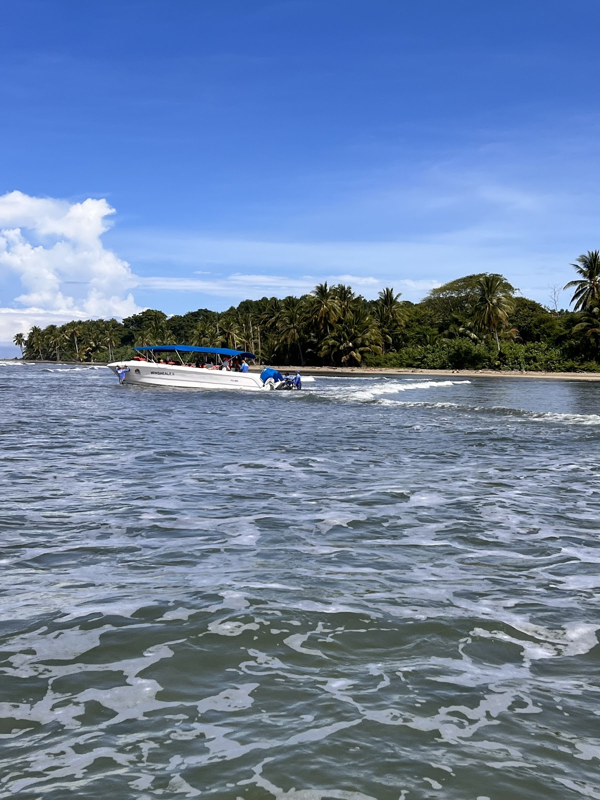 Bahia Aventuras - photo 4